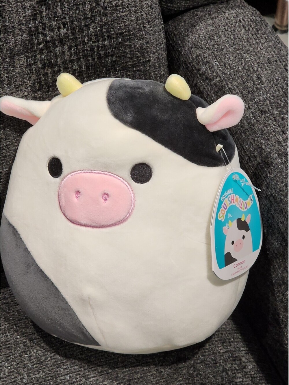 Squishmallows Farm Squad Conner the Black & White Cow 8" Barnyard NWT